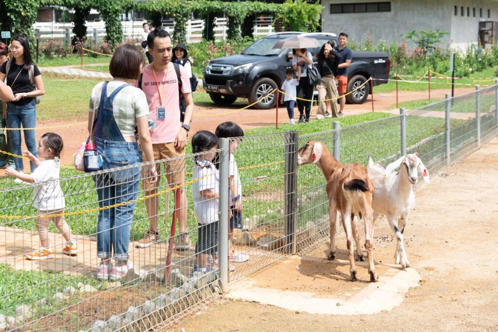 2023-Field-Trip-To-Farm-Fresh-8791