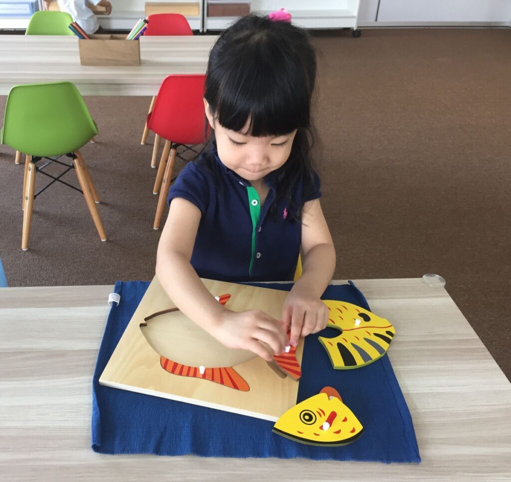 Montessori Kids Academy Puzzle Parts Fish