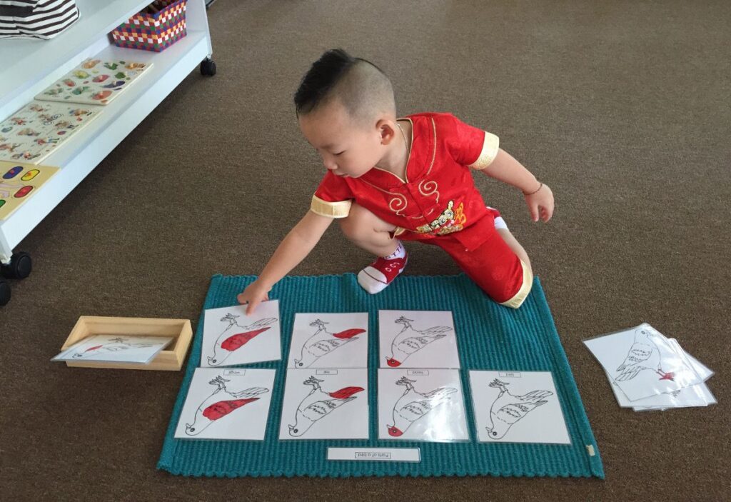 Montessori Kids Academy Terminology Card