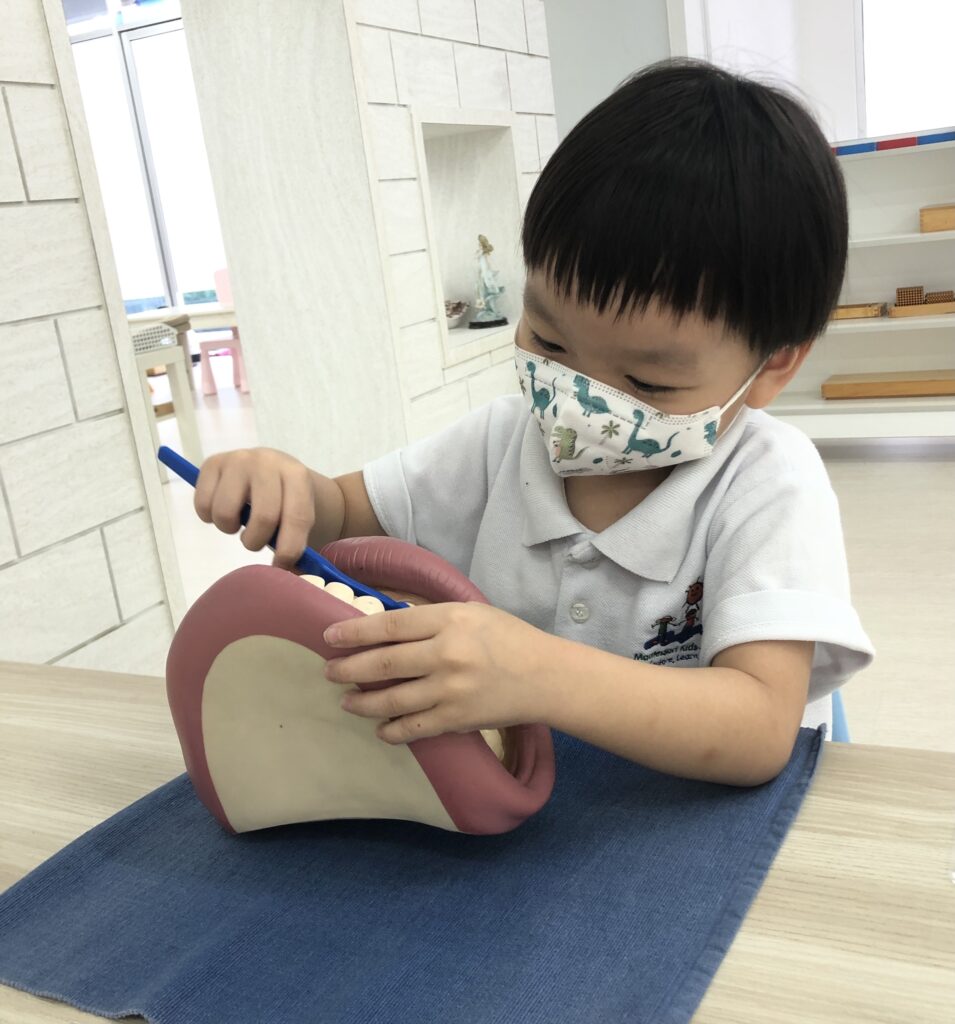 Montessori Kids Academy About My Body