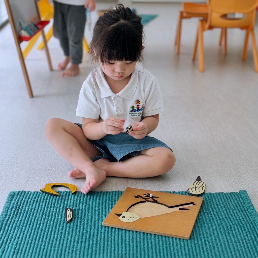 Montessori Kids Academy Parts of a Bird